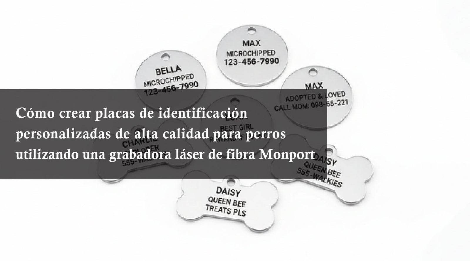 Cómo crear placas de identificación personalizadas de alta calidad para perros utilizando una grabadora láser de fibra Monport