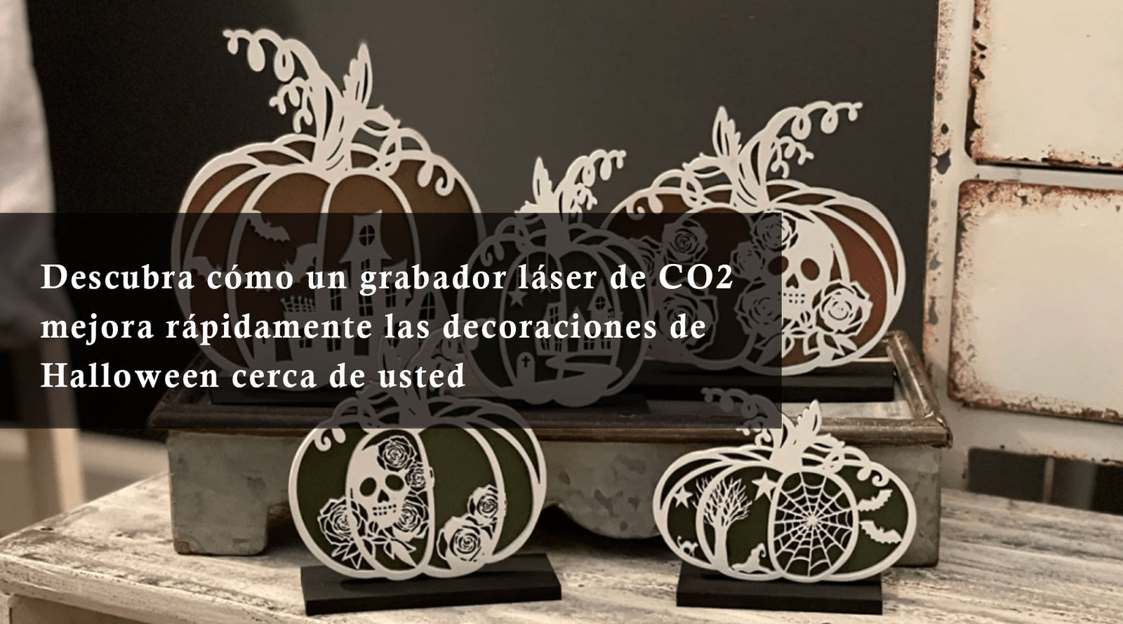 Descubra cómo un grabador láser de CO2 mejora rápidamente las decoraciones de Halloween cerca de usted
