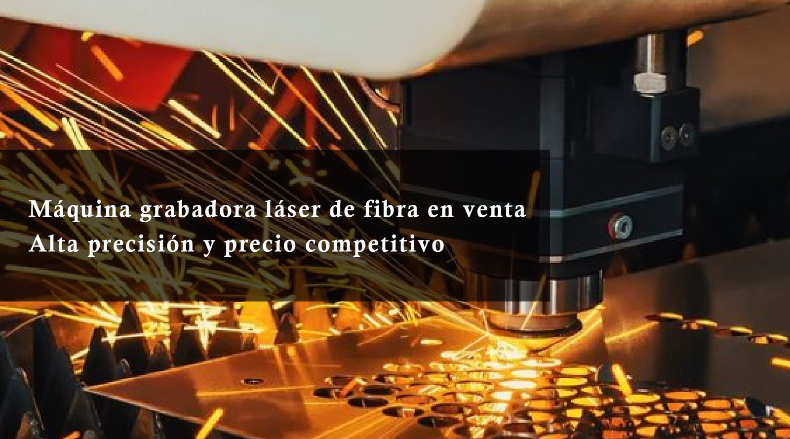 Máquina grabadora láser de fibra en venta: Alta precisión y precio competitivo