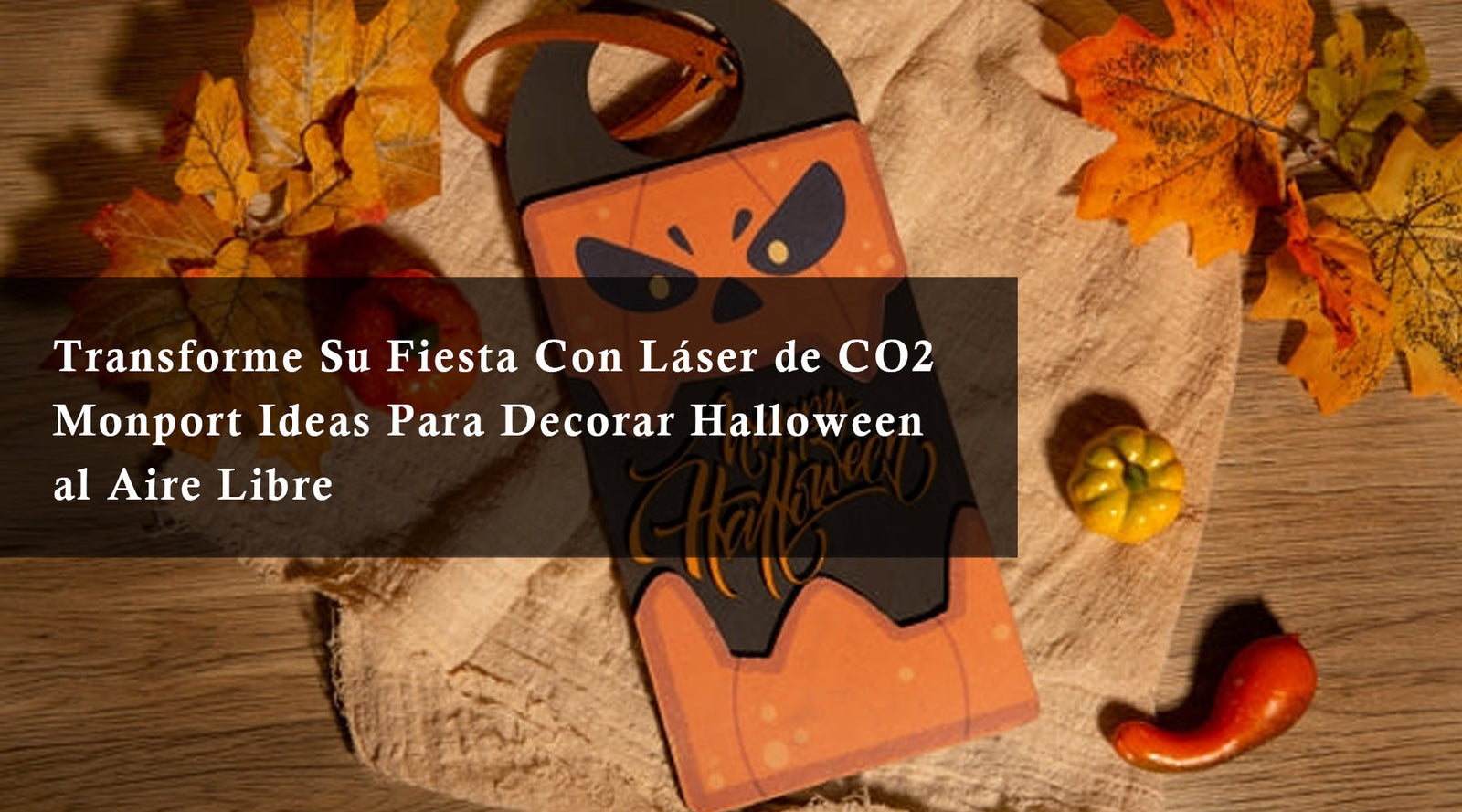 Transforme Su Fiesta Con Láser de CO2 Monport Ideas Para Decorar Halloween al Aire Libre