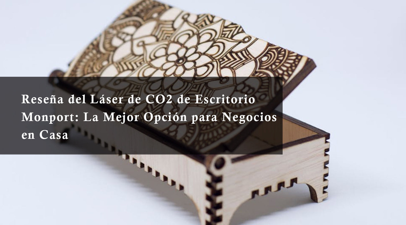 Reseña del Láser de CO2 de Escritorio Monport: La Mejor Opción para Negocios en Casa