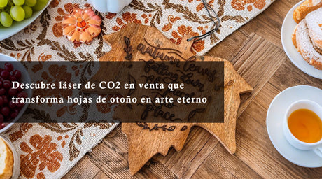Descubre láser de CO2 en venta que transforma hojas de otoño en arte eterno